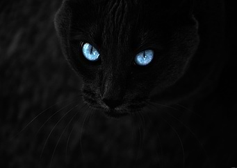 Blue Eyes