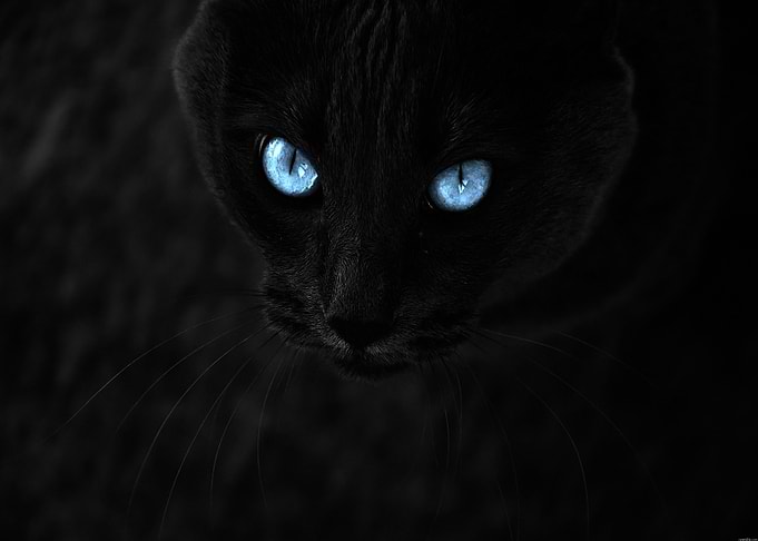 Blue Eyes