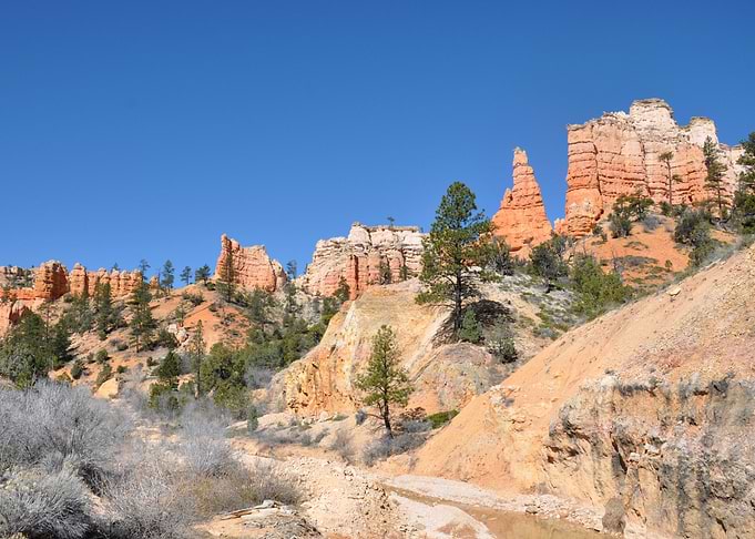along bryce canyon