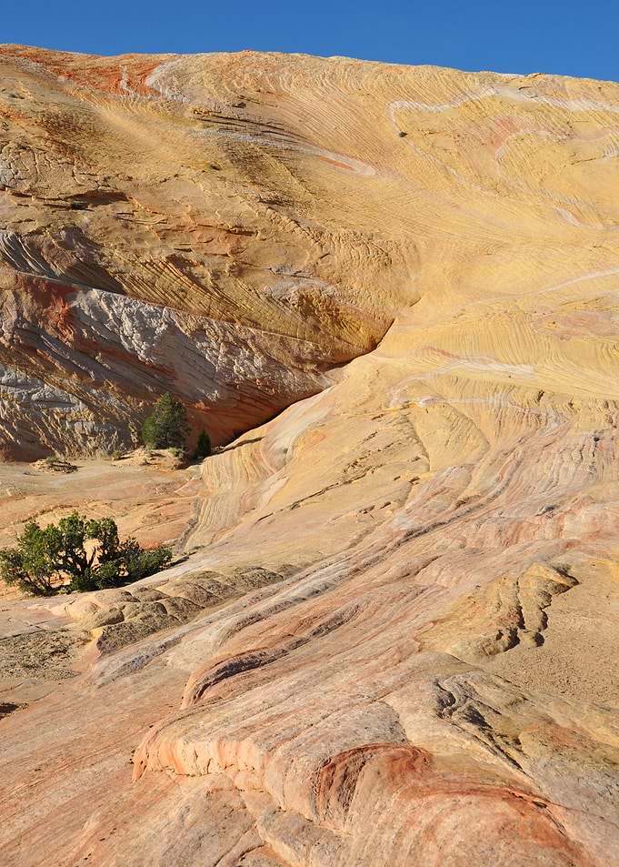 yellow rock mountain