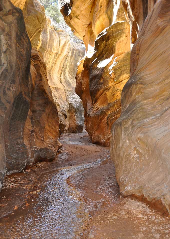 willis creek slot canyon