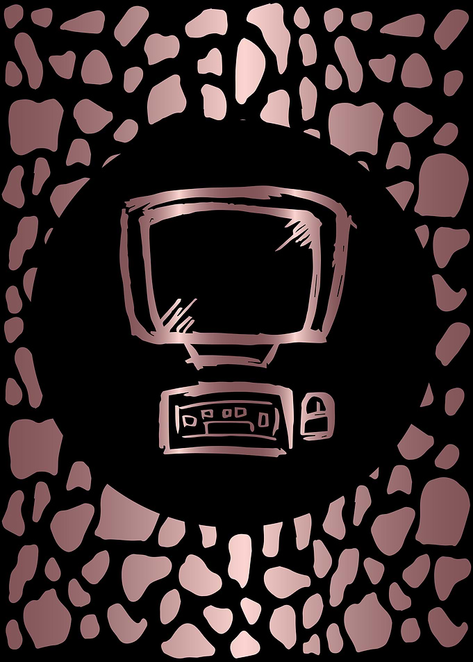 Rose Gold Computer 10