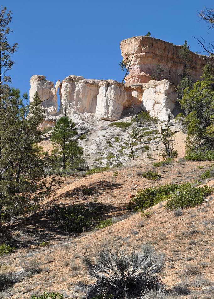 along bryce canyon