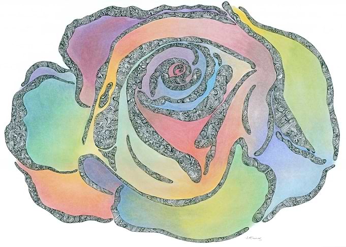 Rainbow Rose