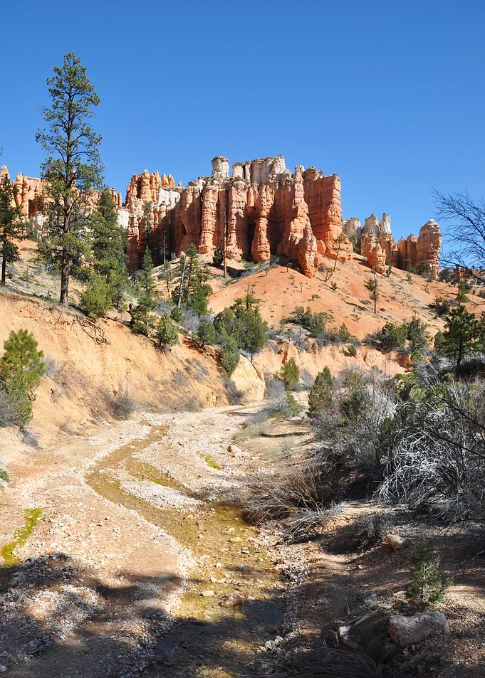 along bryce canyon