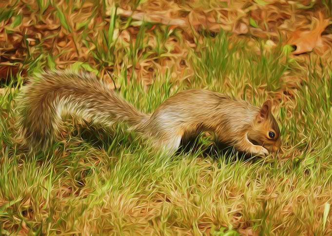 animal wall art