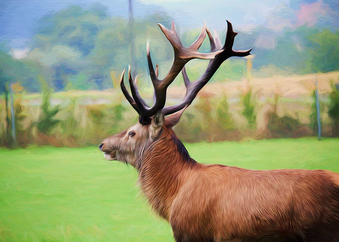 animal wall art painting