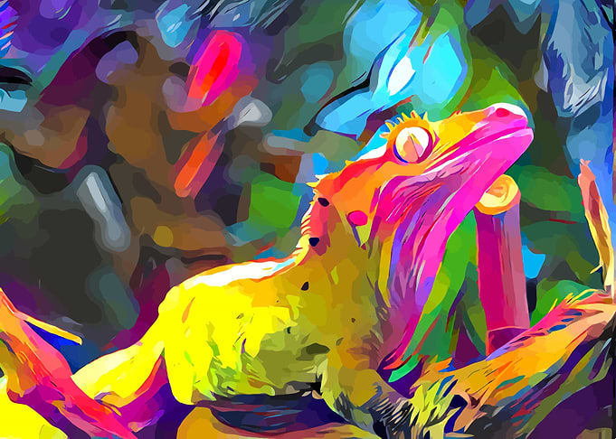 Gecko In Forest