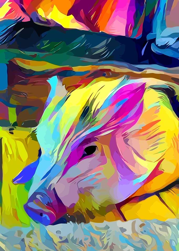 Mini Pig