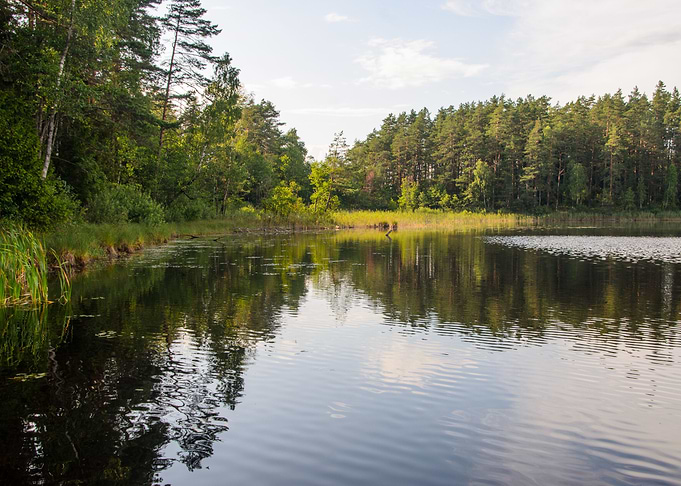 Calm Lake