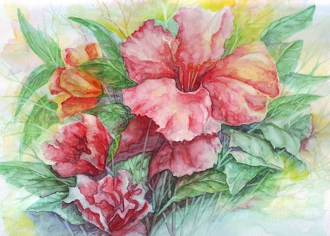 Hibiscus
