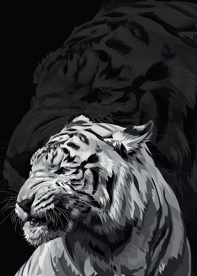 white tiger
