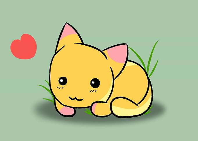 Cute cat