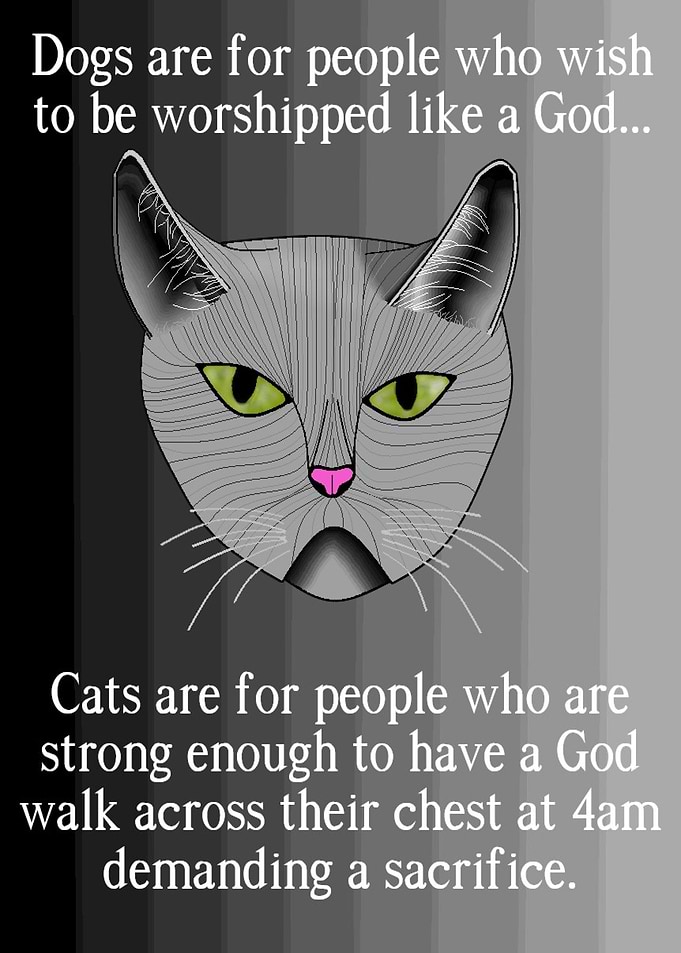 The God Cat
