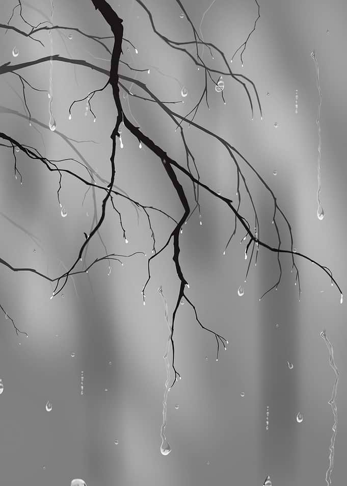 Rainy day
