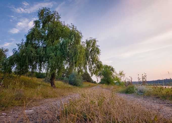 Rural landscape