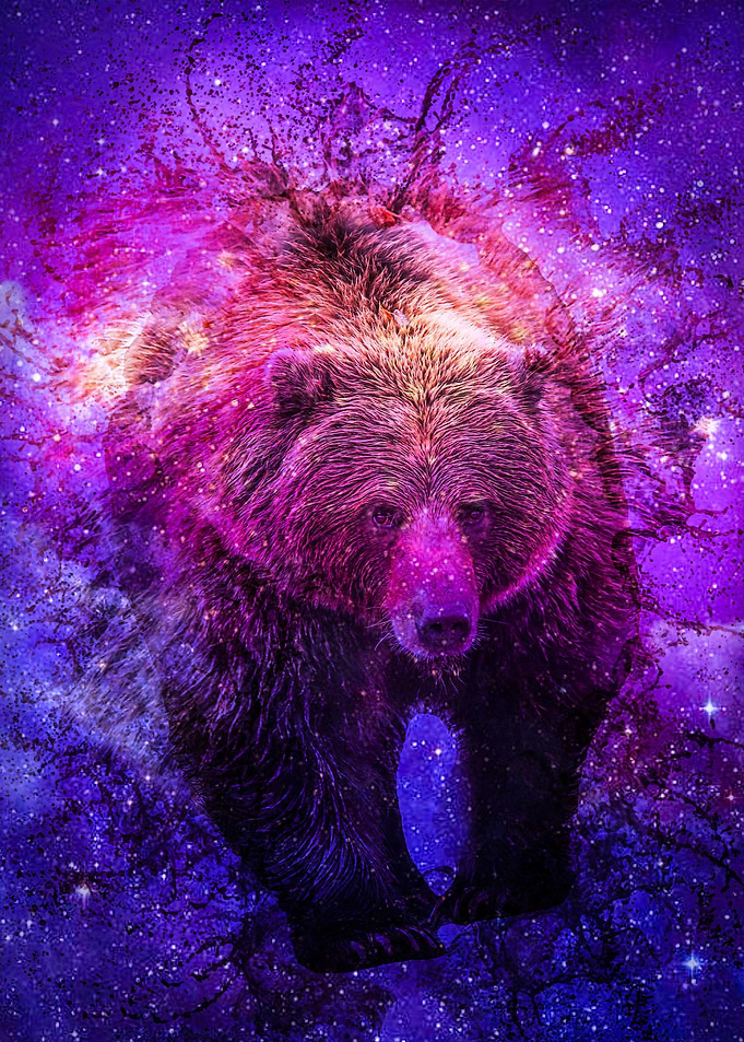 Space Bear