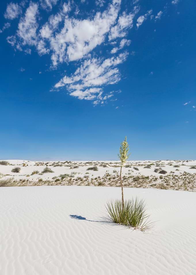 White Sands Impression