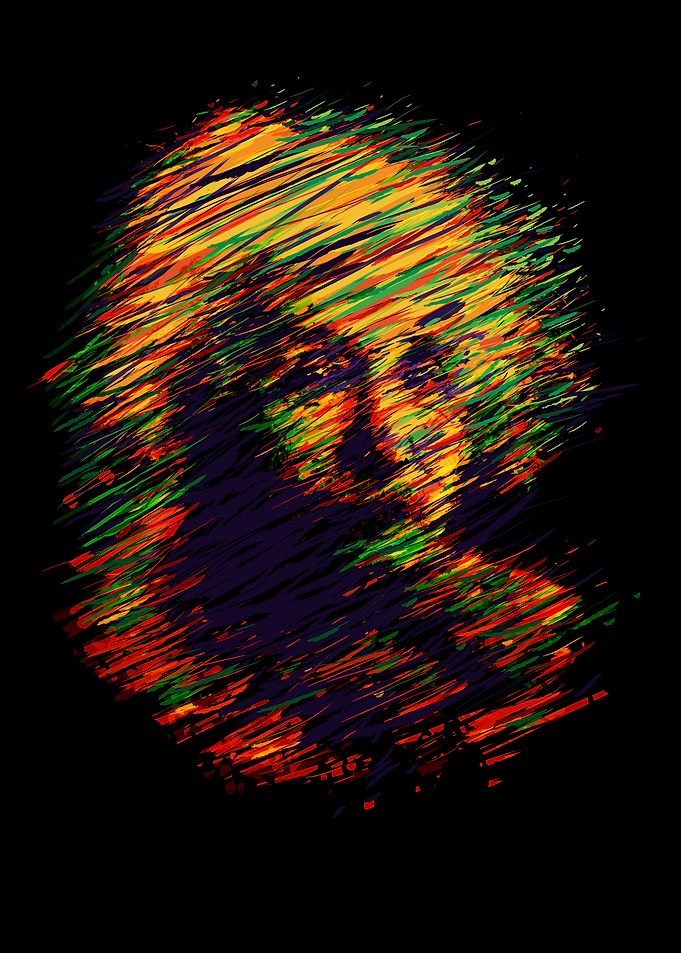 Digital Einstein