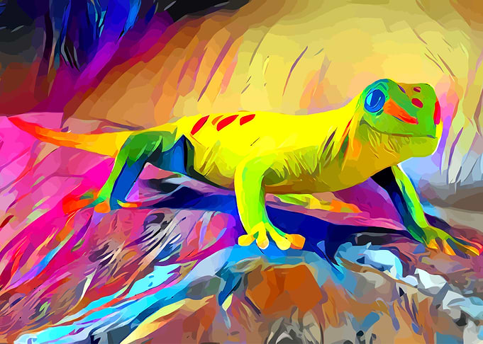 Gecko