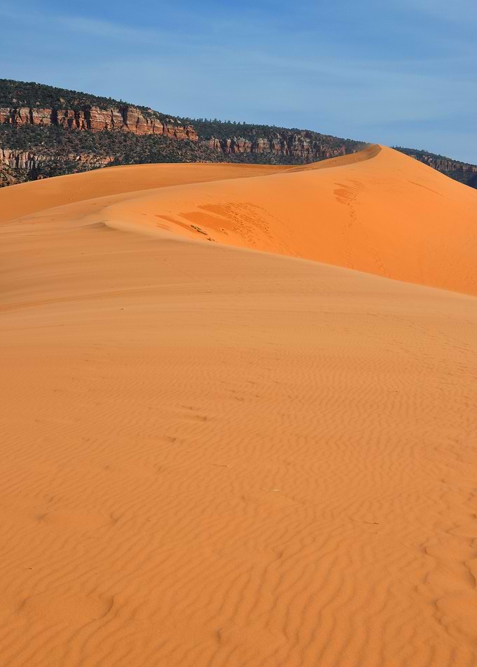 coral pink sand dunes