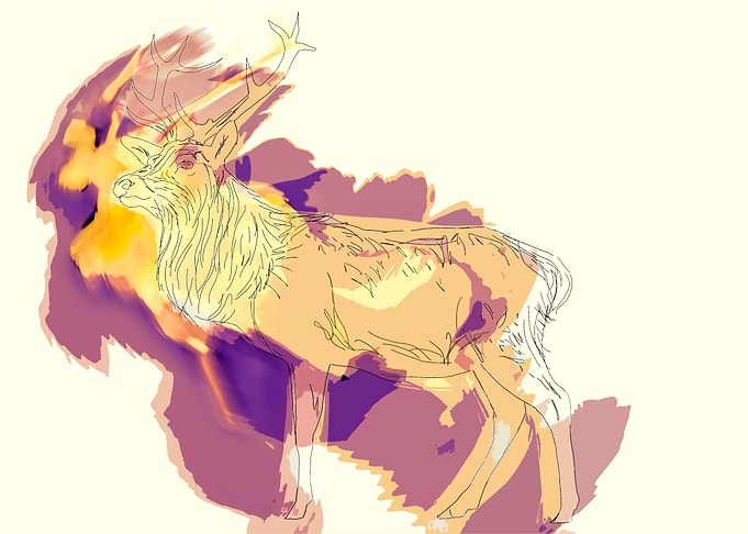 Deer afire