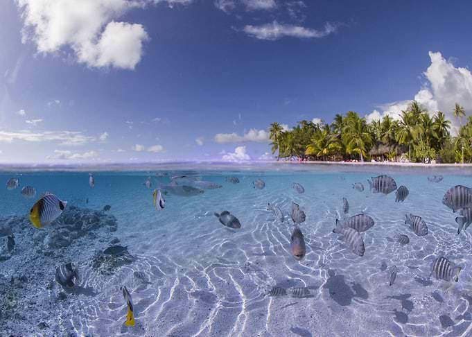 Tropical island
