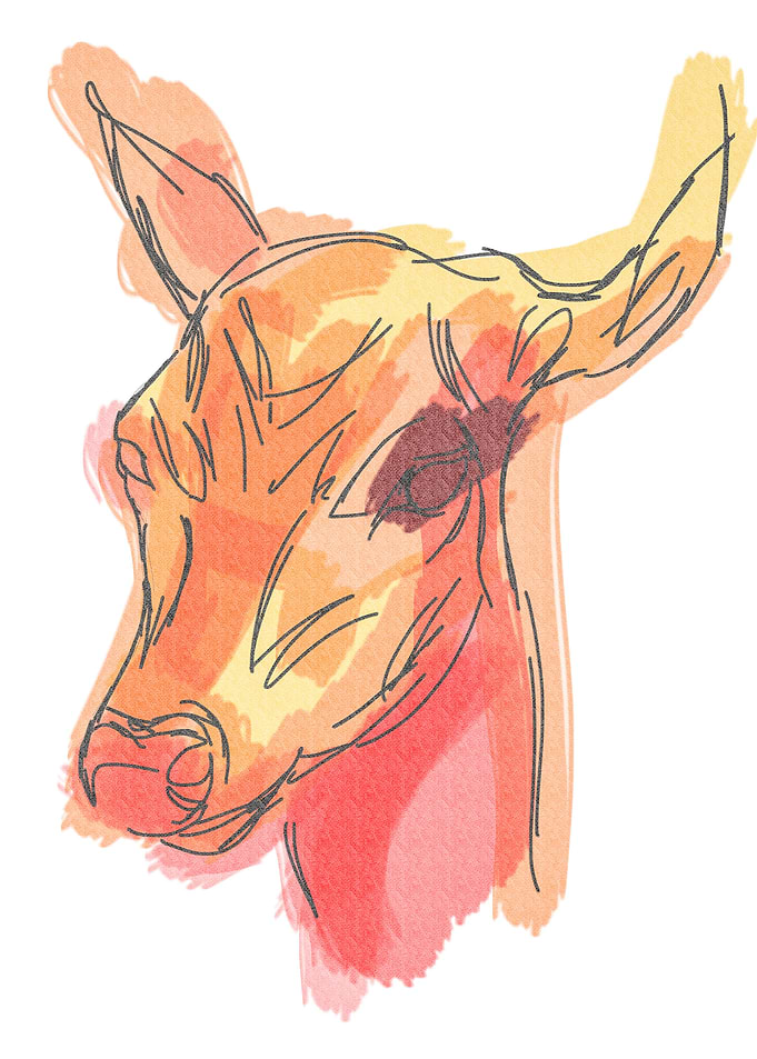 Red deer