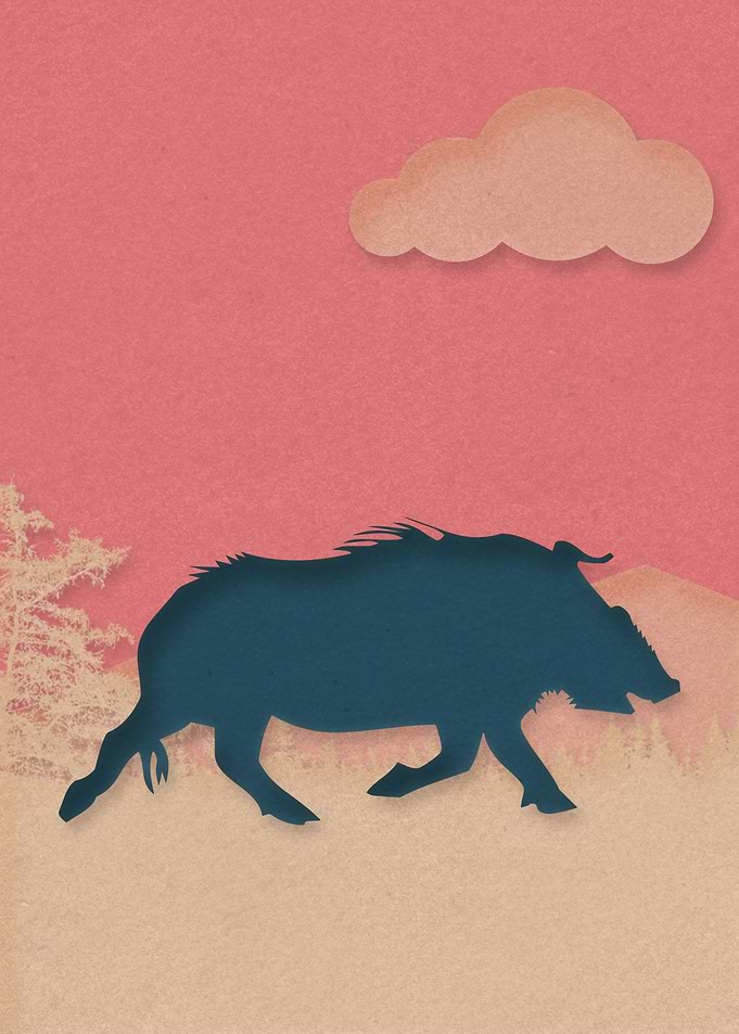 Wild Boar