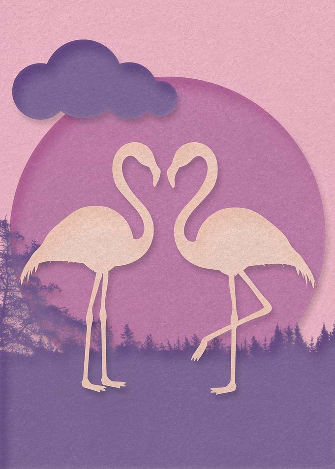 Flamingo Couple