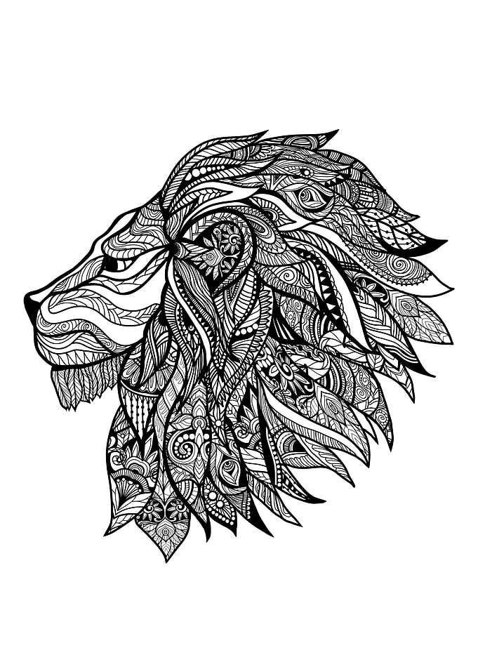 Decorative lion head