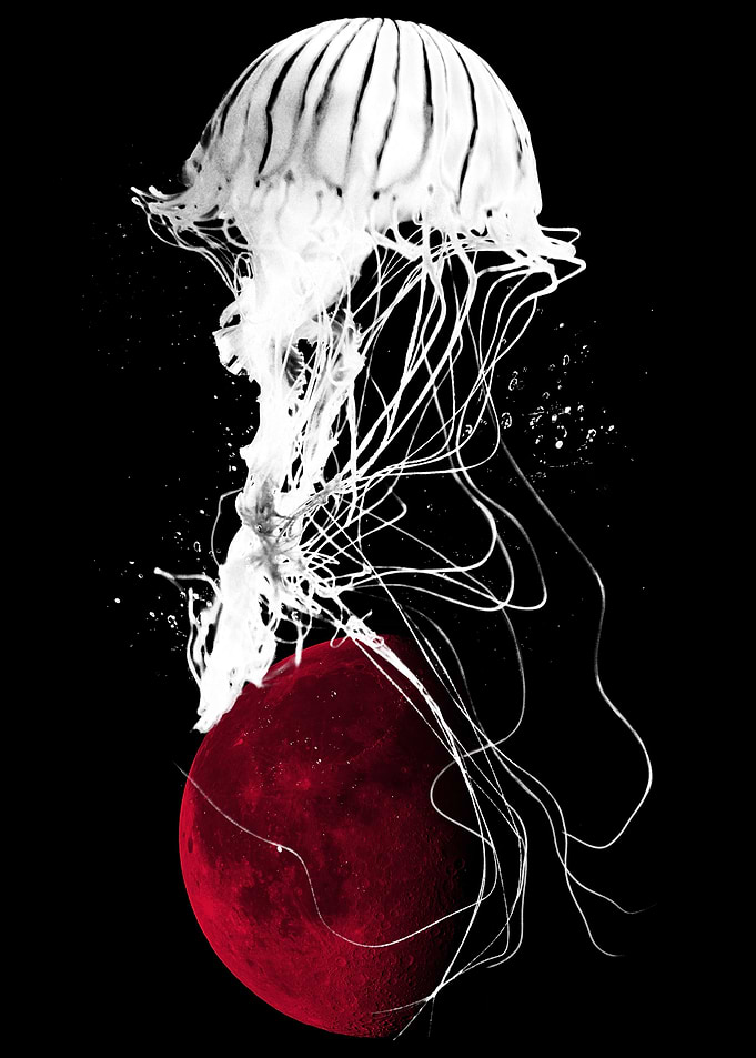 Medusa Moon