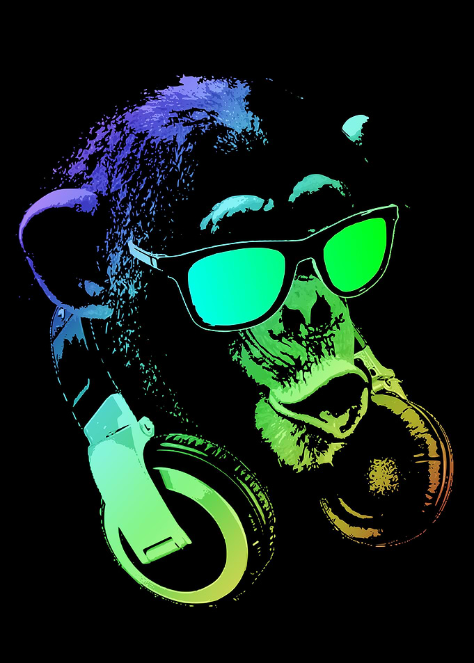 DJ Monkey