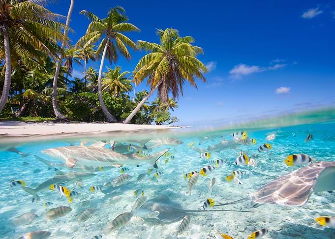 Tropical island