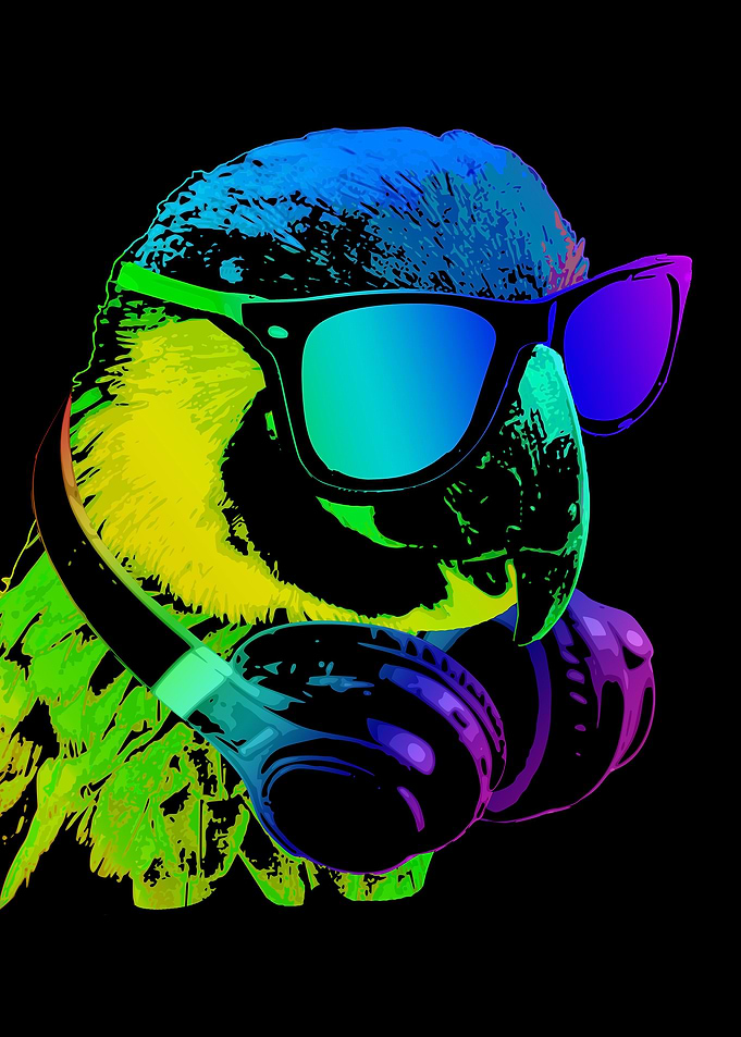 Dj Parot