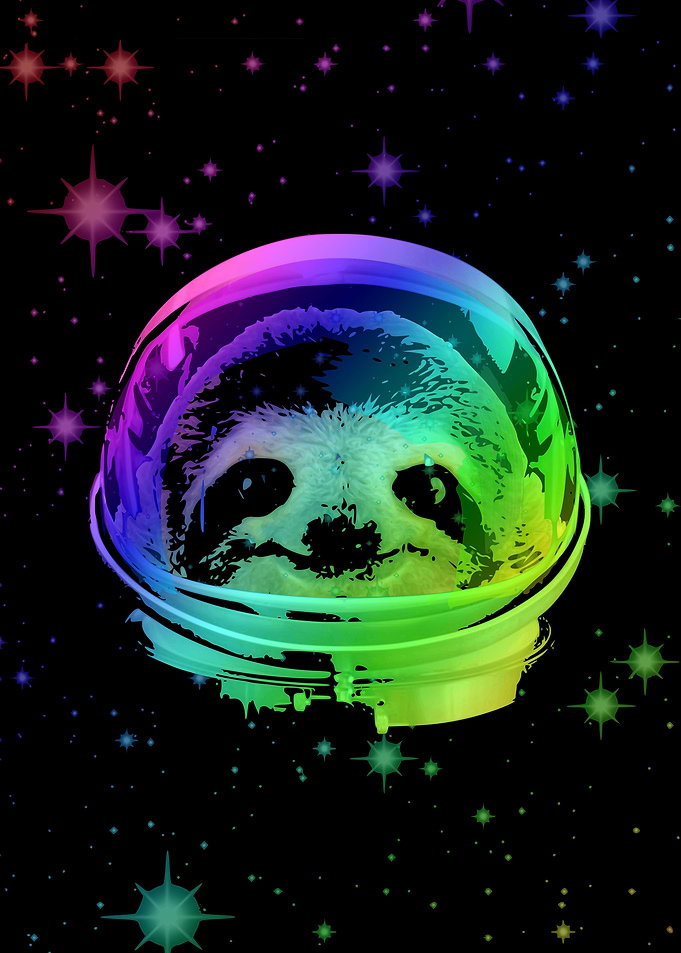 Space Sloth