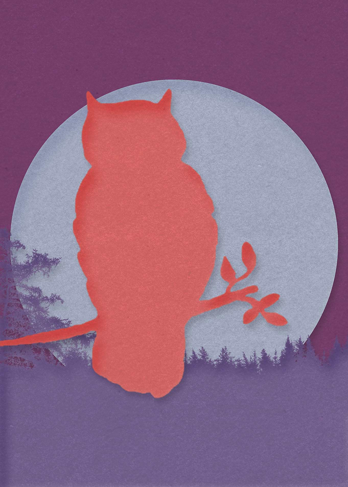 Night Owl