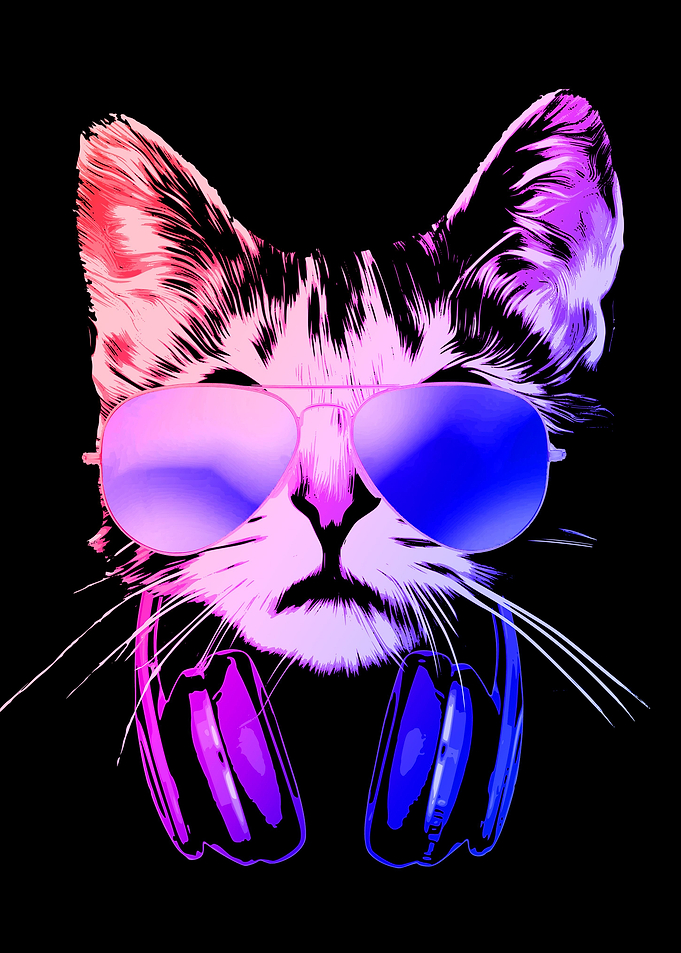 DJ Cat 4