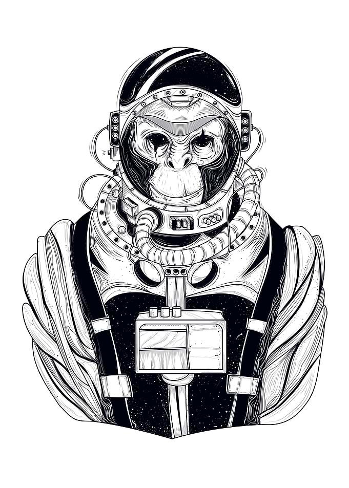 hand drawn monkey