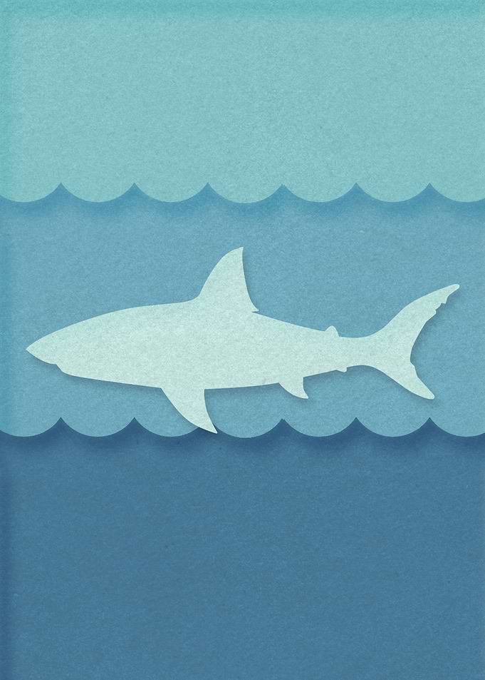 Shark