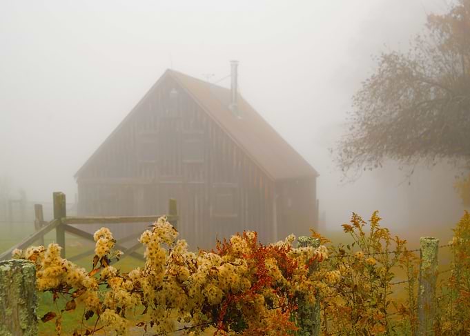 Autumn Mist