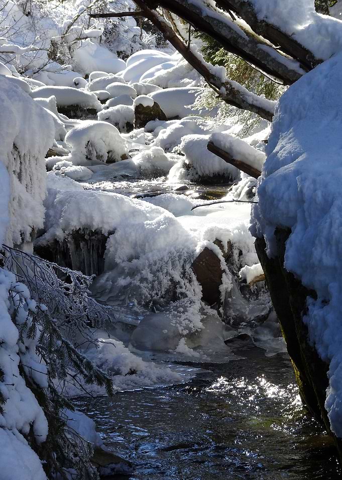 winter wonderland