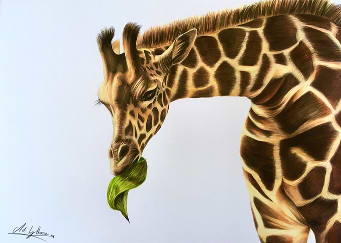 Giraffe