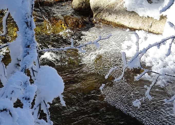 winter wonderland