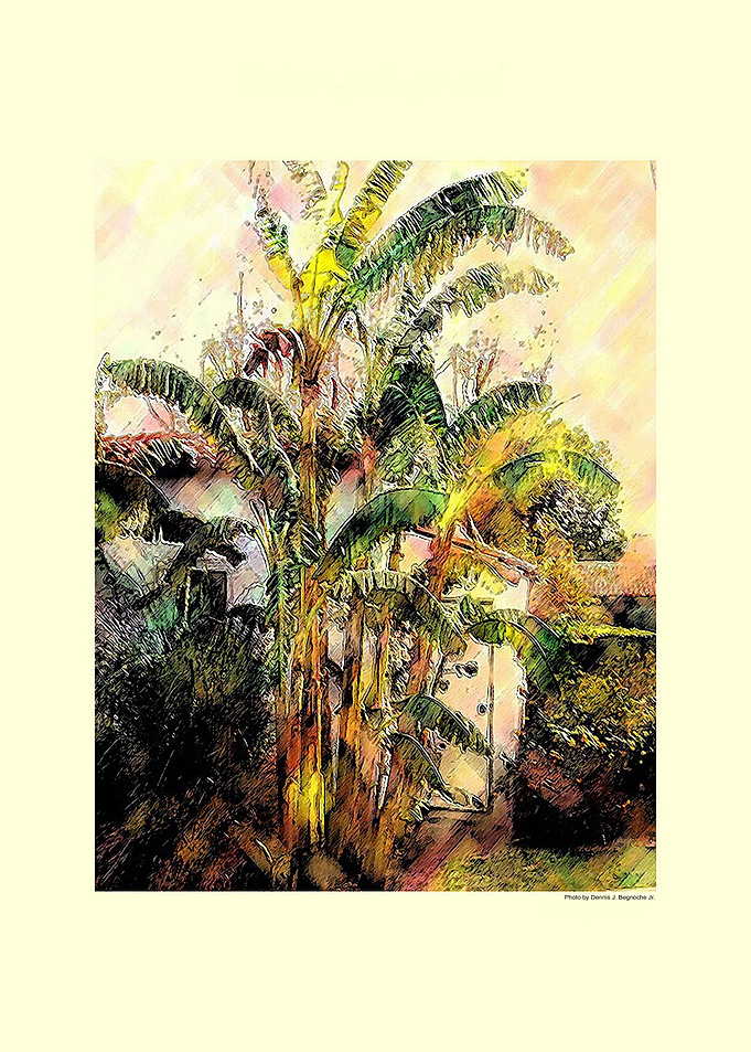 Banana Leave Cottage