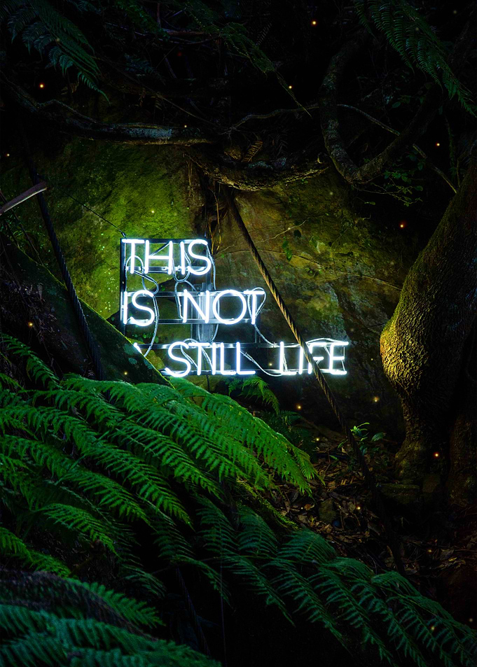 This is not still life