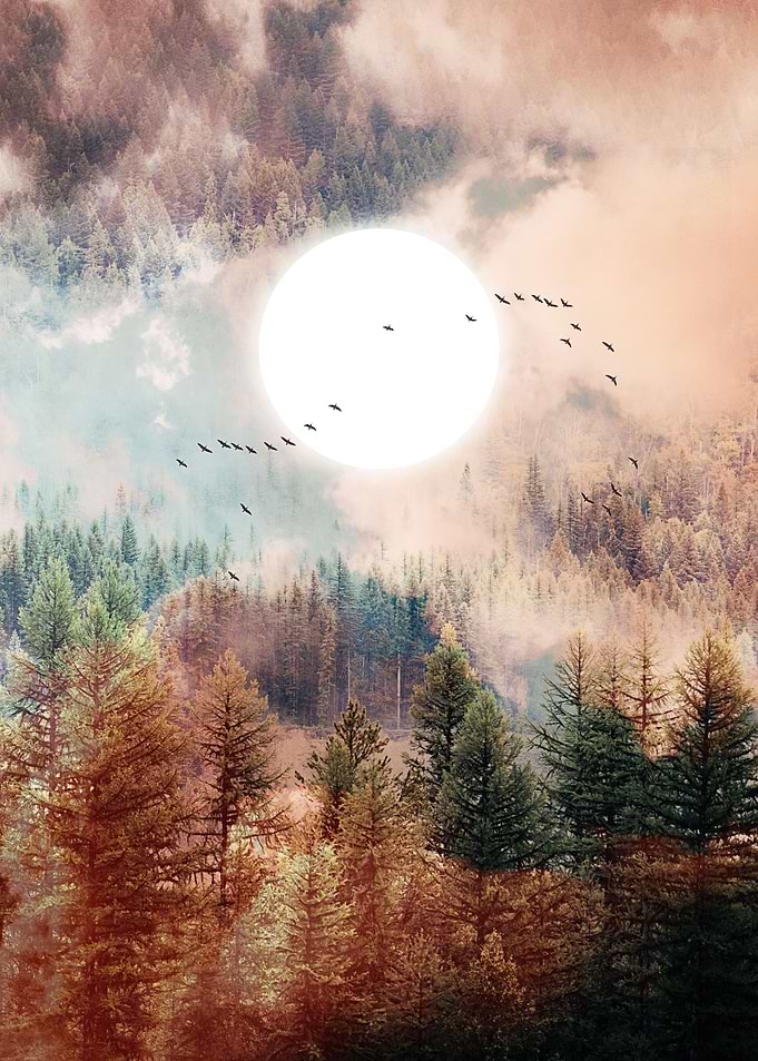 Nature Is Calling