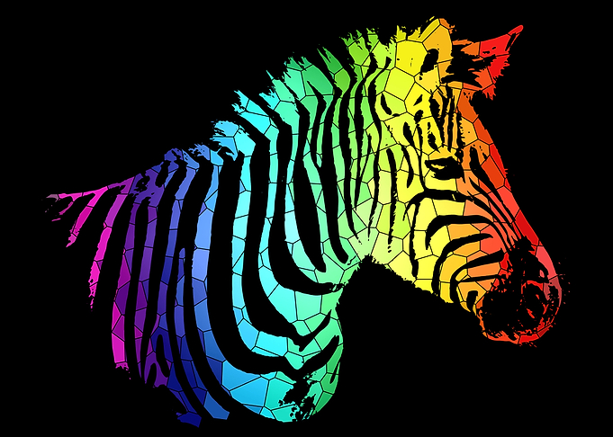 Mozaic Rainbow Zebra