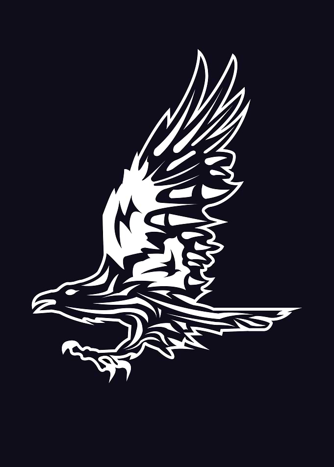 Simple Crow Illustration