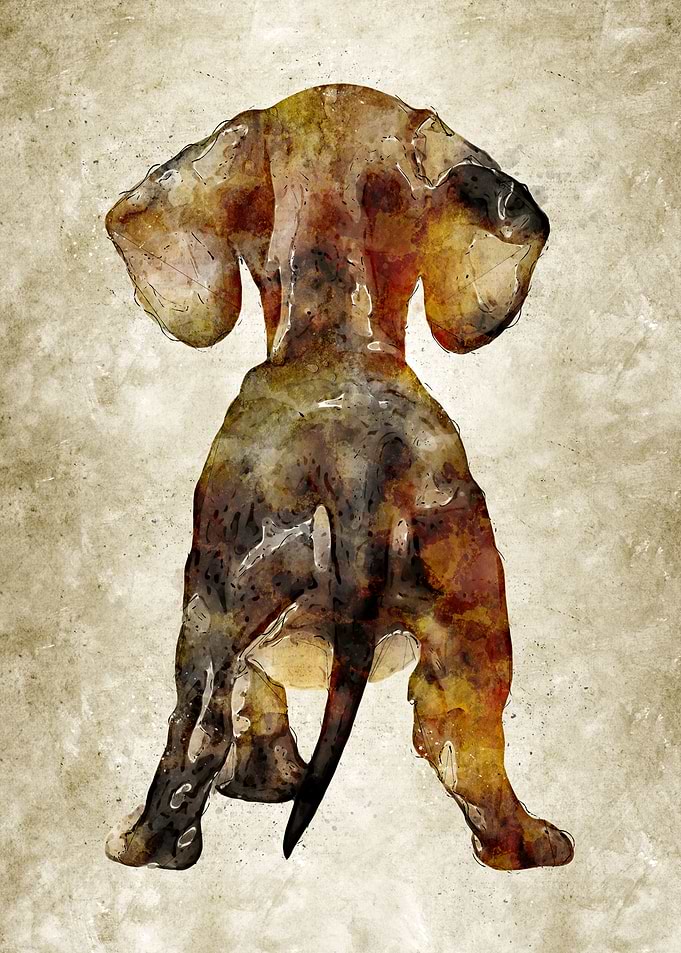 Cute Vintage Dog